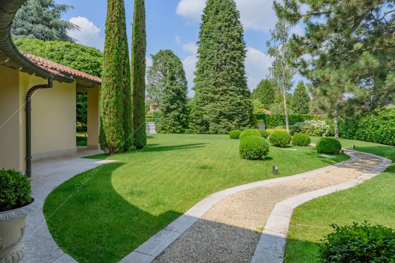 Giardino con alberi sempreverdi e vialetto in ciottoli