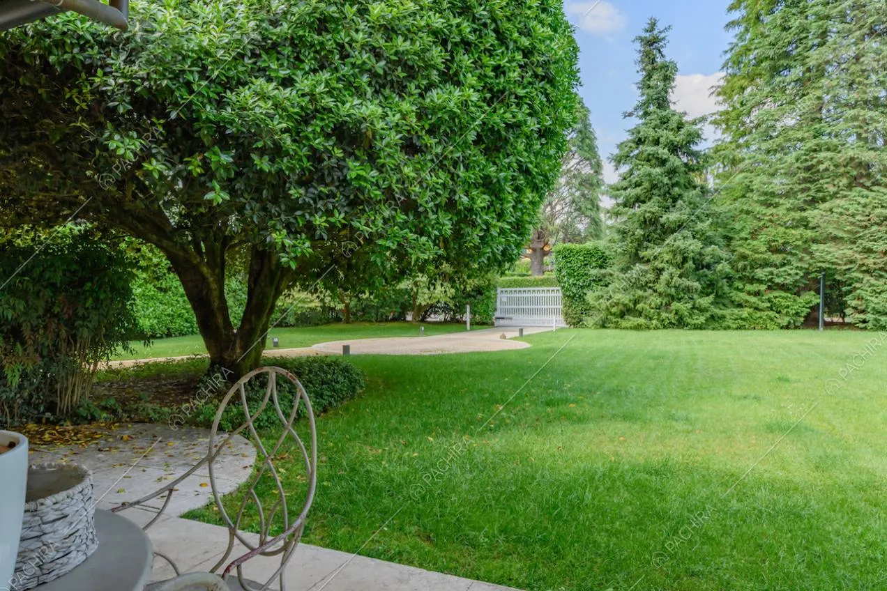 Curatissimo giardino pieno di alberi