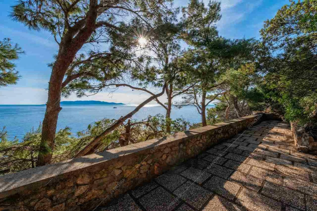 Vialetto di acesso alla location, pini marittimi e vista sul mare