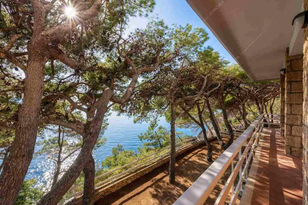 Terrazze della location pini marittimi e vista sul mare