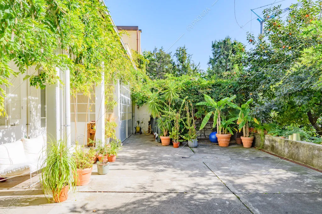 Dal giardino vista sul portico bianco con rampicanti