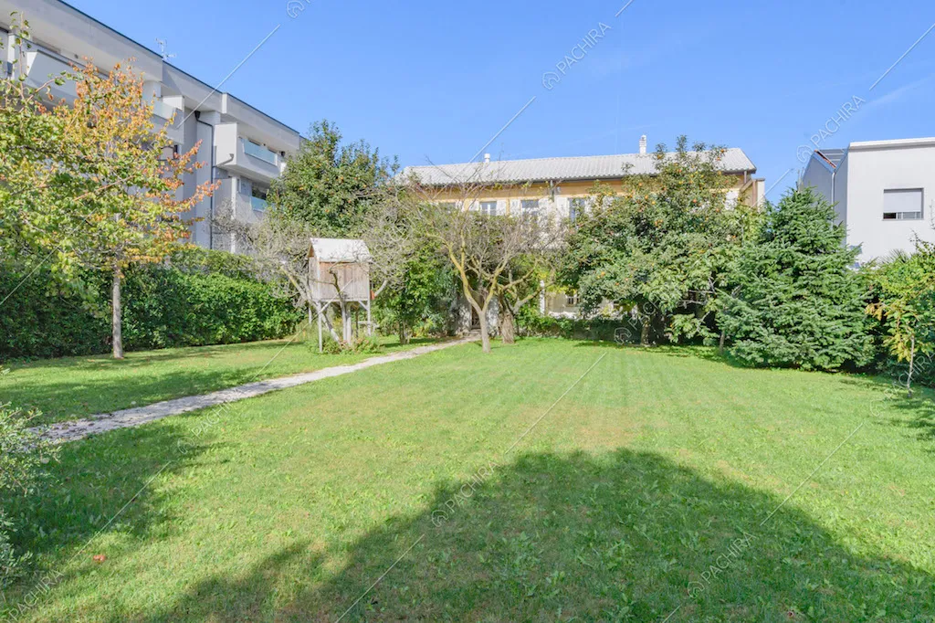 Grande giardino con siepe, alberi e vialetto