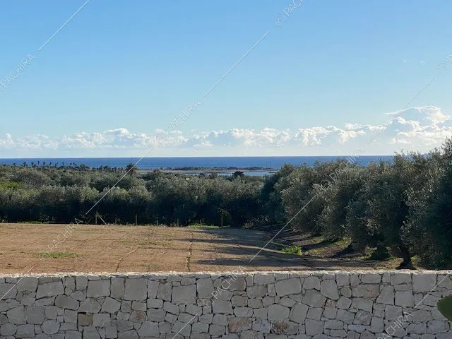 Dal giardino della location vista sulla natura circostante e sul mare