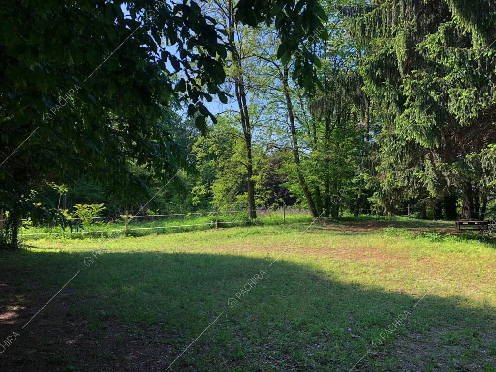 Ampio parco con alberi che circonda la villa