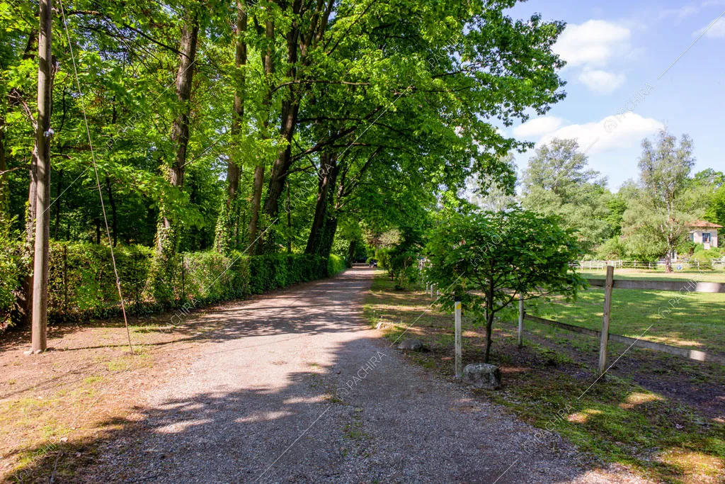 Grande vialetto con pavimentazione in ciottoli e vista sul parco