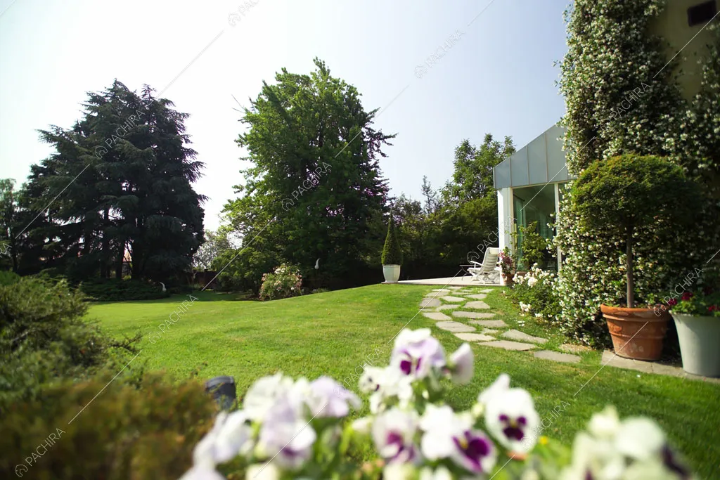 Giardino con vialetto della villa Chalbi, location in stile moderno a Torino