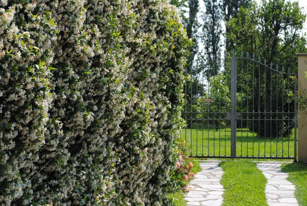 Cancello di ingresso della villa Chalbi, location in stile moderno a Torino