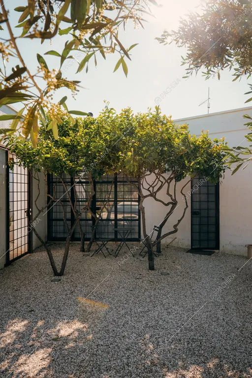 Girdino con piante della masseria Ryn, location in stile contemporaneo a Brindisi