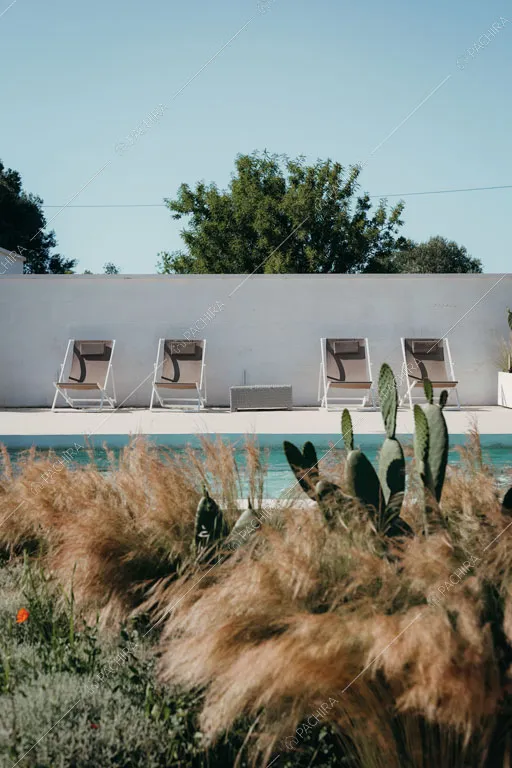 Vista sulla piscina della masseria Ryn, location in stile contemporaneo a Brindisi