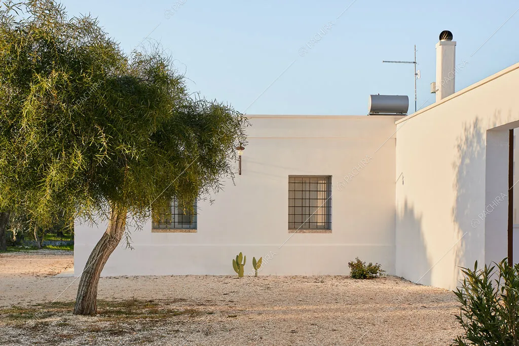Muri bianchi nel giardino della masseria Ryn, location in stile contemporaneo a Brindisi