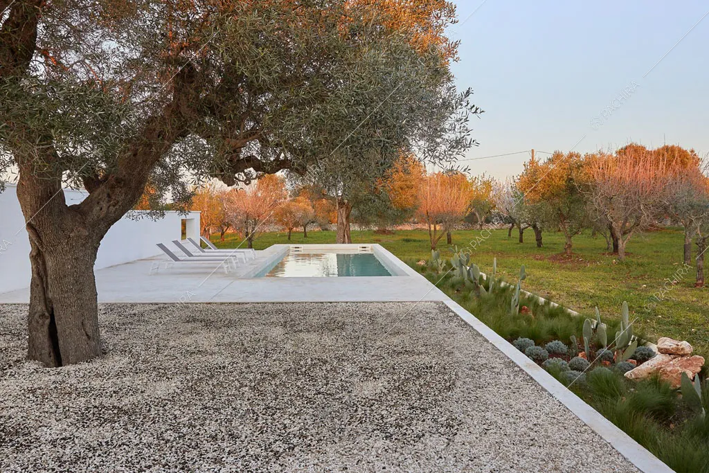 Ampio giardino con piscina della masseria Ryn, location in stile contemporaneo a Brindisi