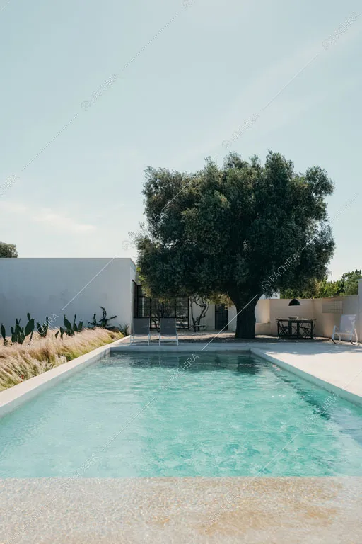 Piscina e pavimento in cemento lisciato nel giardino della masseria Ryn, location in stile contemporaneo a Brindisi