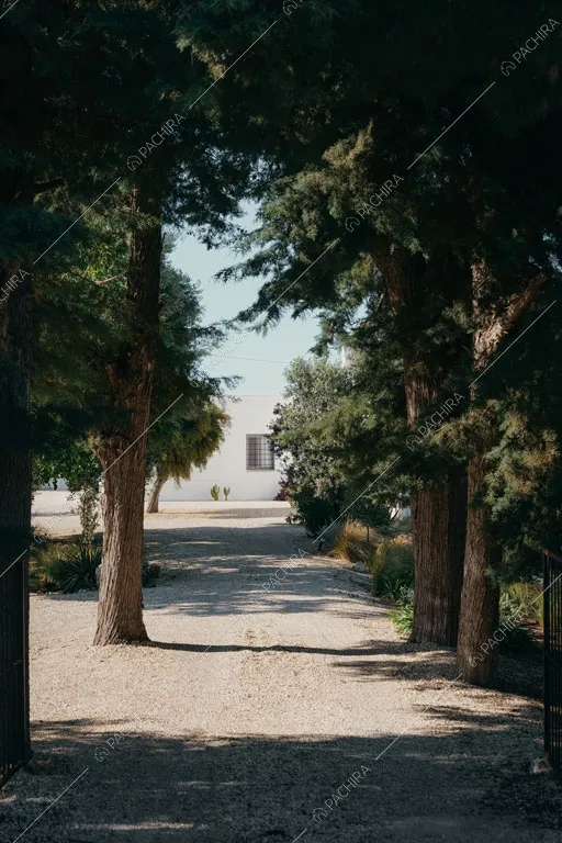 Vialetto della masseria Ryn, location in stile contemporaneo a Brindisi