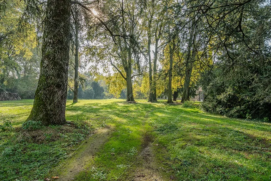 Parco della dimora storica Ajoite, location in stile classico a Milano
