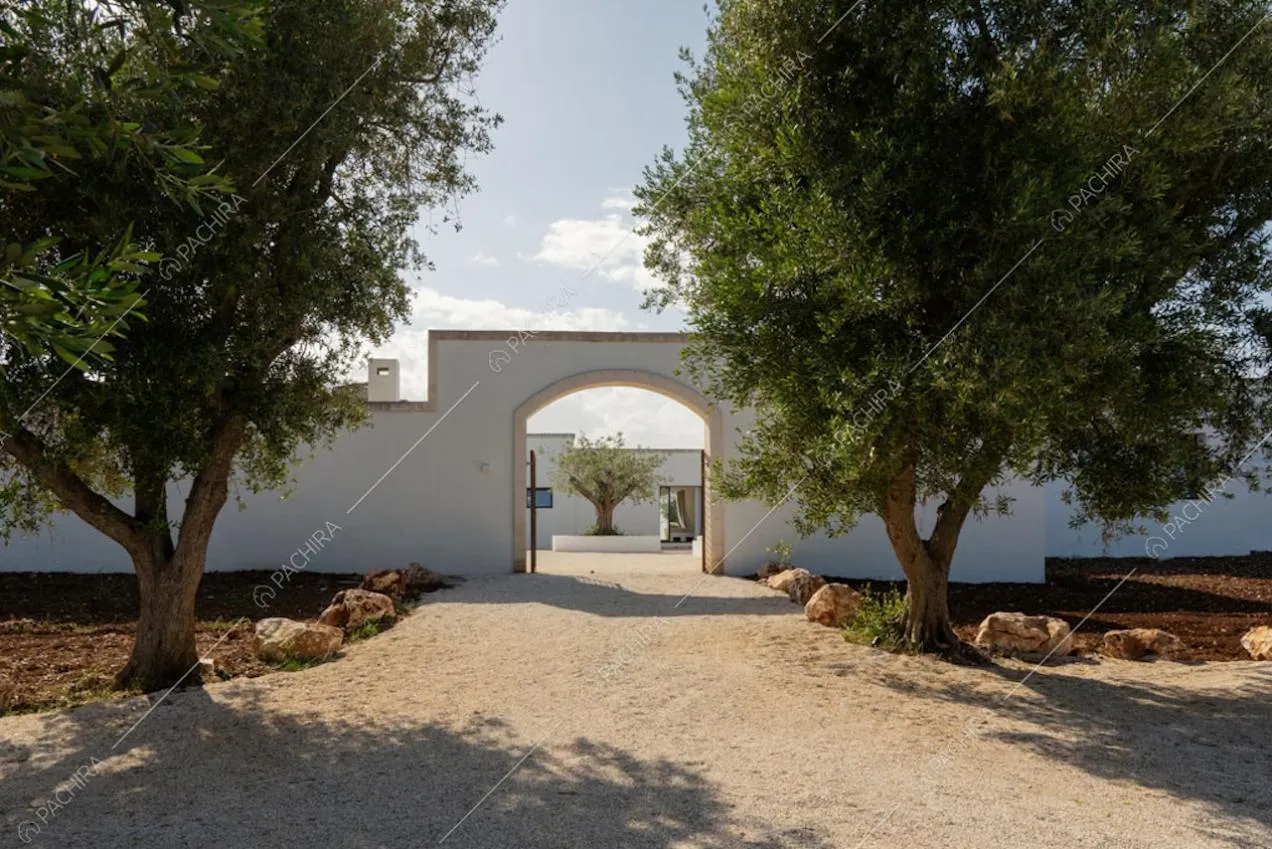 Vialetto della masseria Kyanite, location in stile contemporaneo a Brindisi