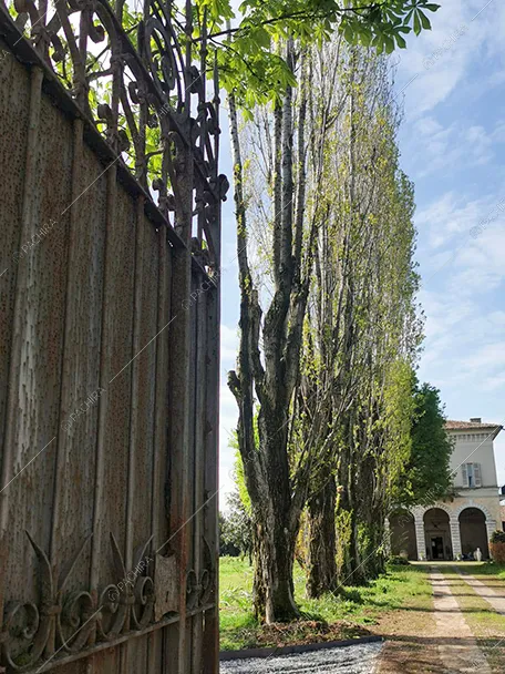 Esterni della villa Darjeeling, location in stile classico a Brescia