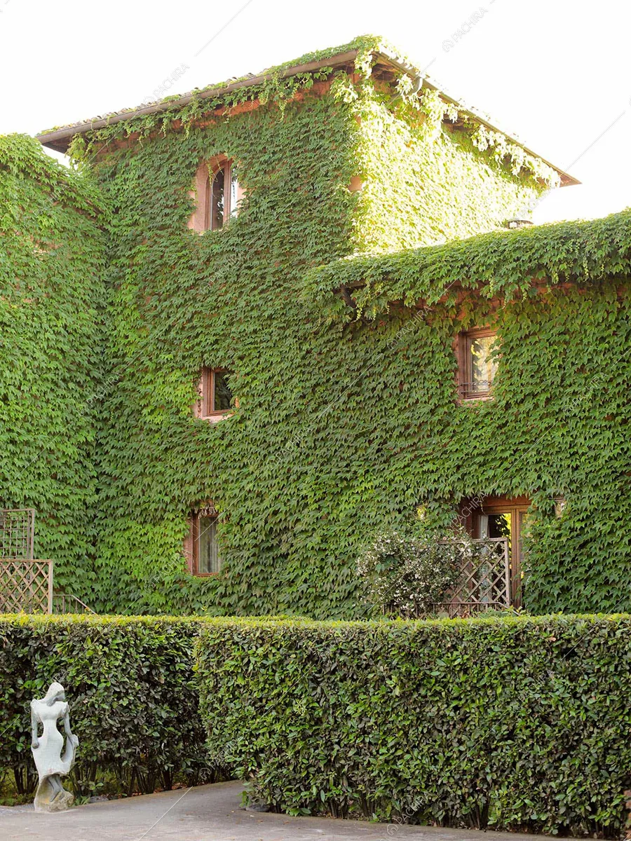 Esterni della villa Elba, location in stile classico a Firenze