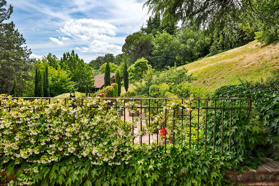 Vista parco dalla villa Psillio, location in stile moderno a Bologna