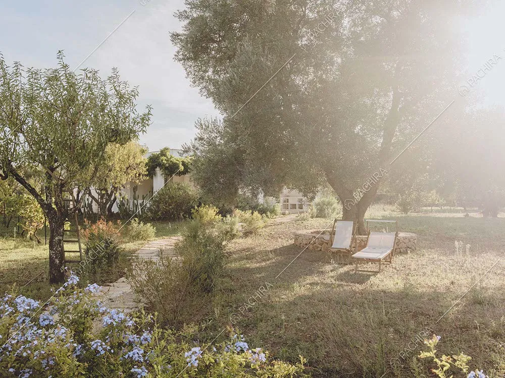 Parco della masseria Giava, location in stile rustico a Brindisi