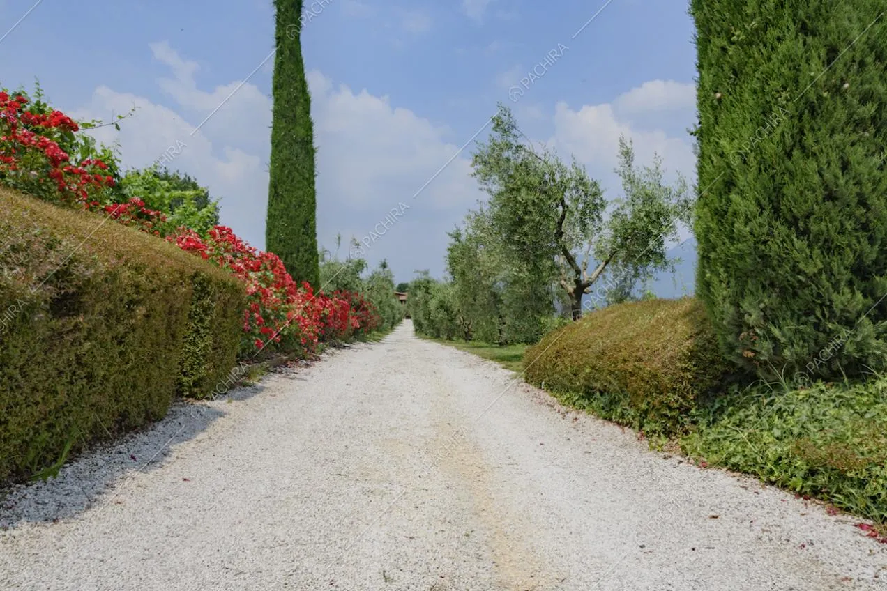 Viale all'interno del giardino della villa con alberi e fiori