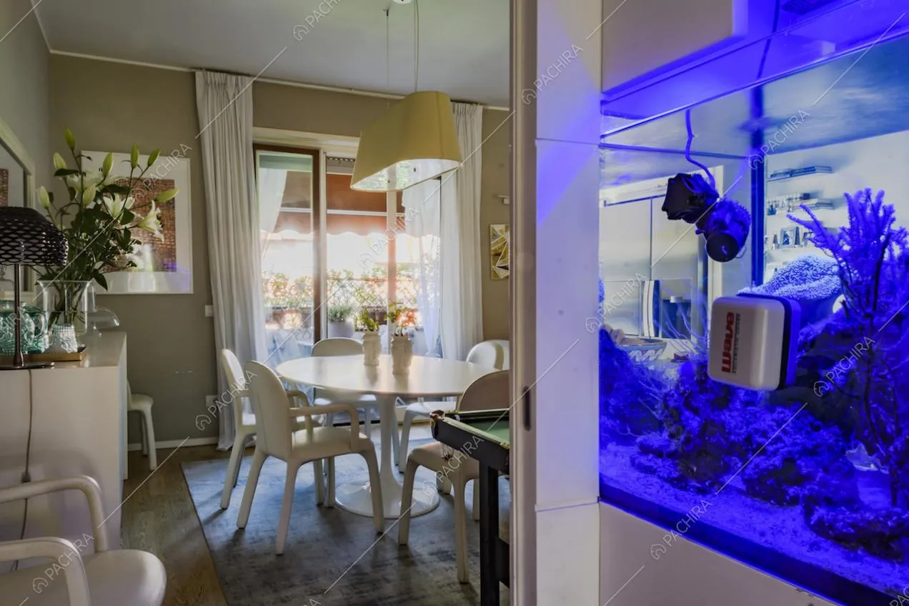 Acquario nella parete e scorcio sulla zona pranzo