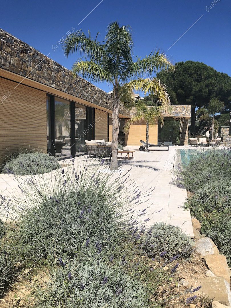 Macchia mediterranea sulla terrazza con palme, piscina a sfioro e lettini e vista sugli esterni della villa