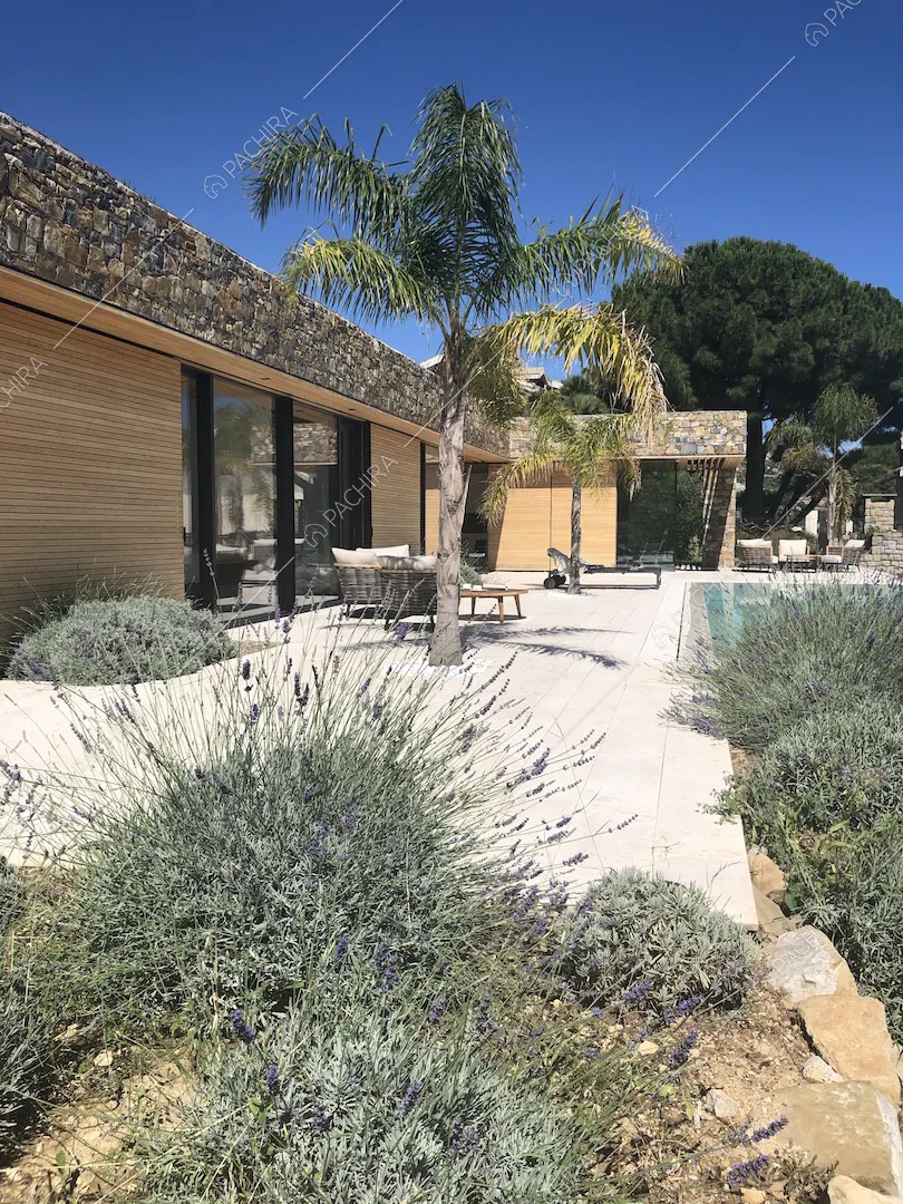 Macchia mediterranea sulla terrazza con palme, piscina a sfioro e lettini e vista sugli esterni della villa