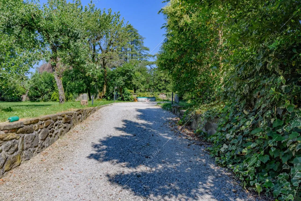 Pavimentazione in ciottolato e siepe nel giardino