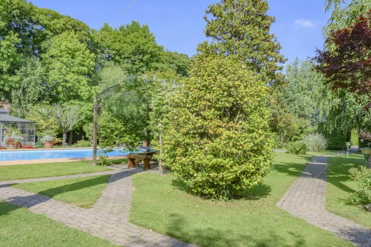 Vialetti tra le piante nel giardino e piscina