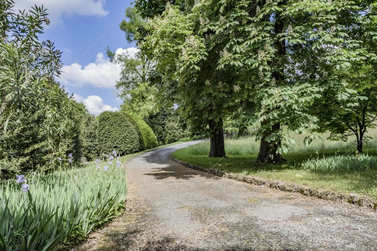 Alberi e piante che circondano la villa
