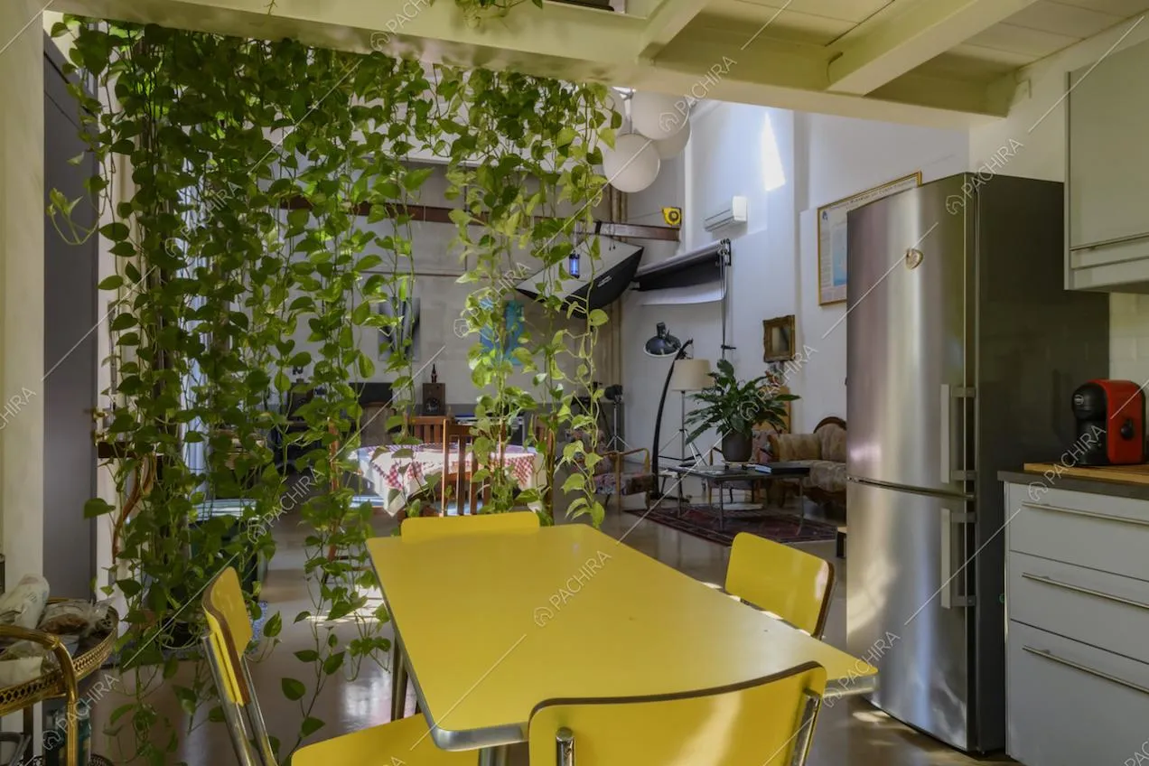 Tavolo e sedie color giallo, frigorifero in acciaio e piante
