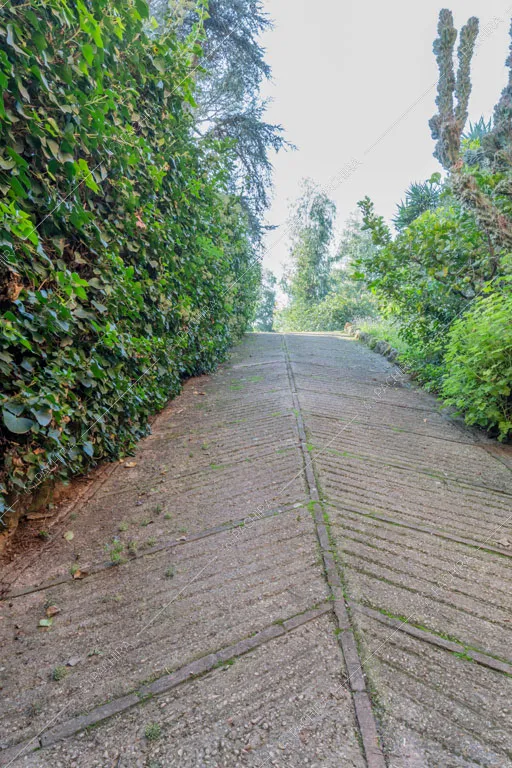 Vialetto della dimora storica Logan, location in stile classico a Roma
