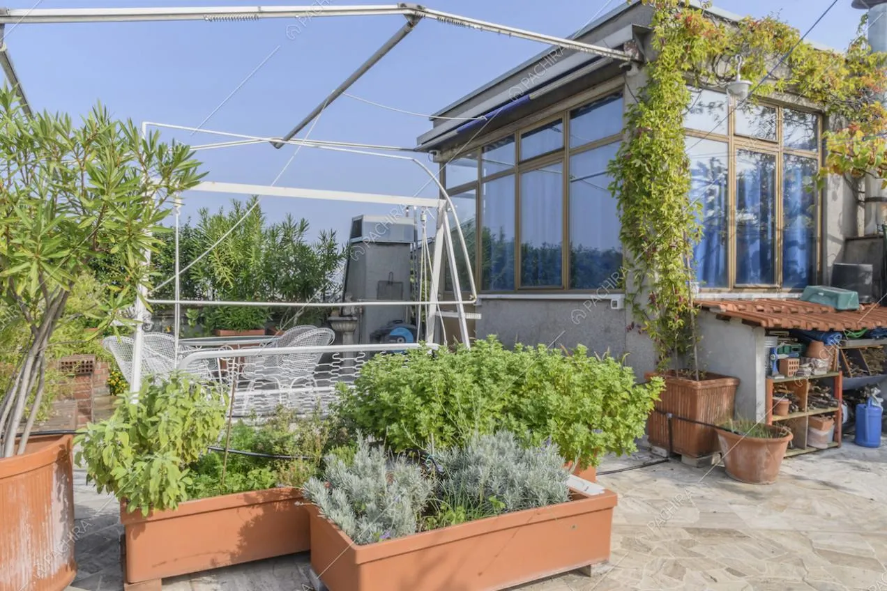Terrazza con piante in vaso, sedie da esterni e veranda
