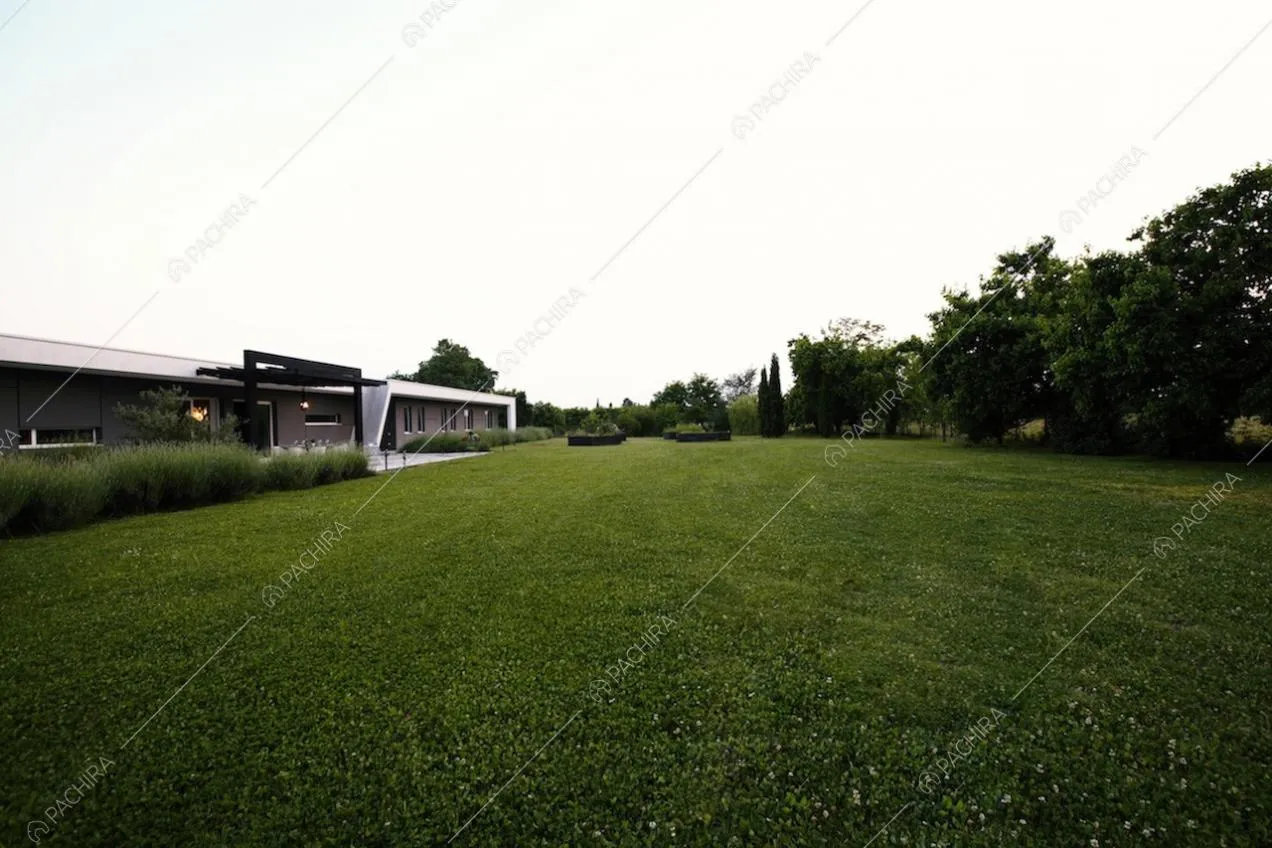 Il grande parco che circonda la Location Glasto
