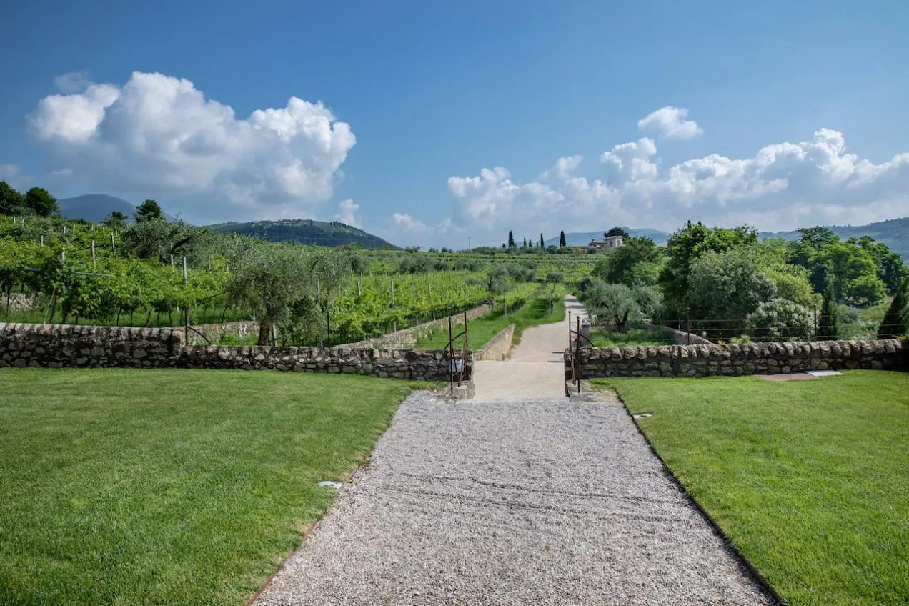 Vialetto in ghiaia per uscire dalla location e vista panoramica sui colli veneti