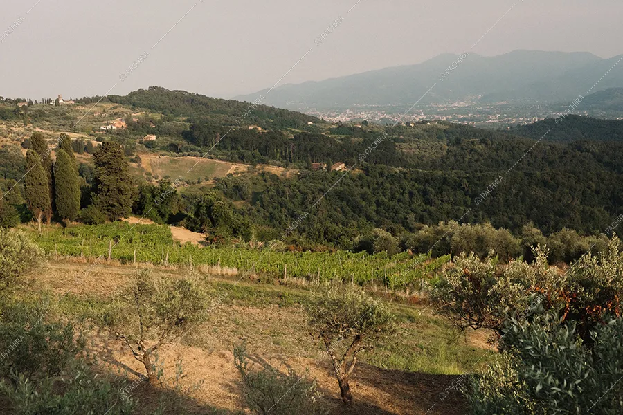 Vista parco dalla masseria Mincio, location in stile rustico a Lucca
