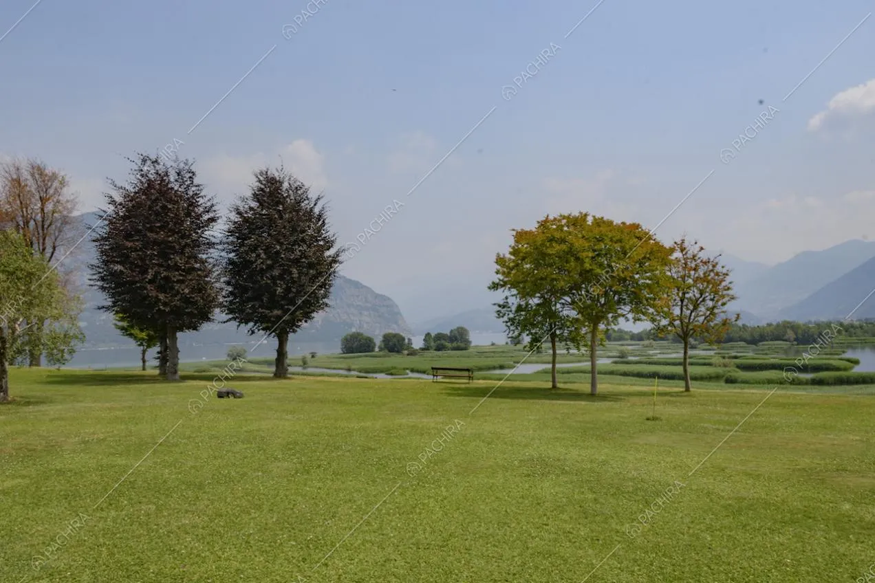 Grande parco con alberi di varietà diverse