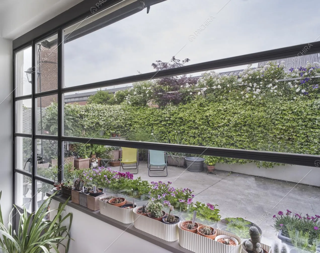 Dalle pareti industriali vista sull'ampia terrazza piena di piante