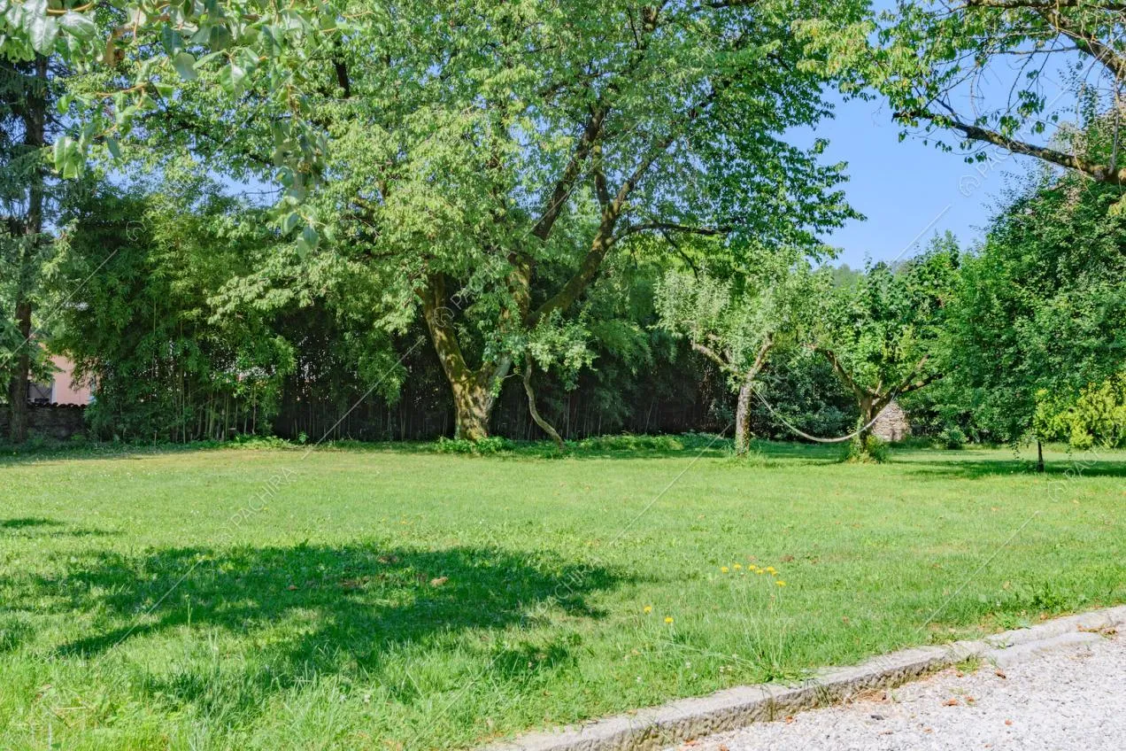 Grande giardino con alberi e vialetto in ciottolato