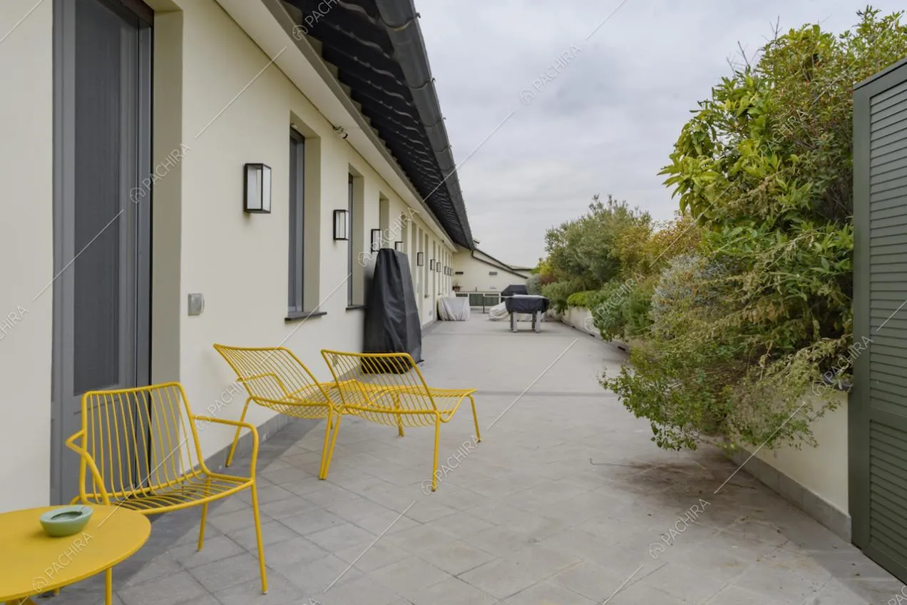 Ampia terrazza con tavolo, sedie e lettini gialli e numerose piante