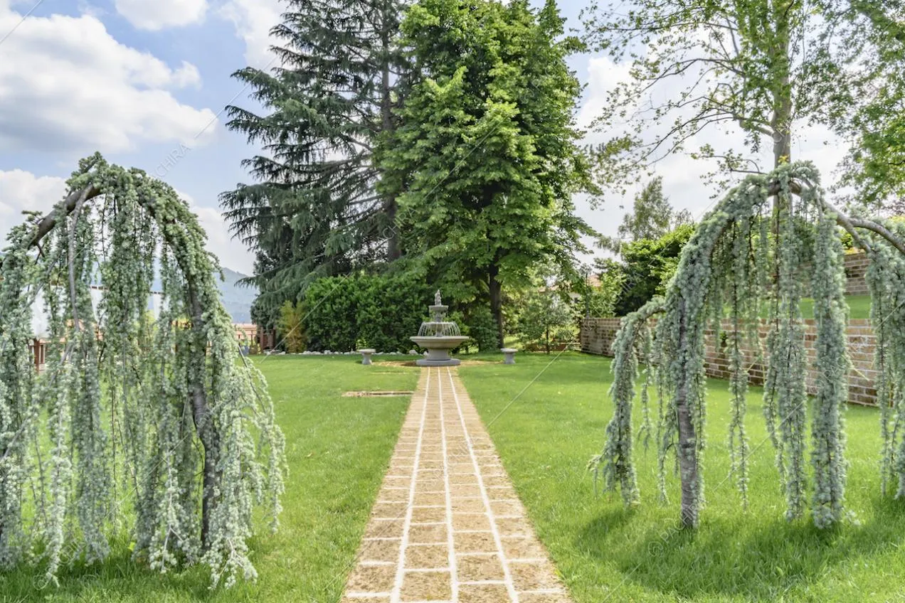 Vialetto in mattoni, immerso nel giardino, porta a una maestosa fontana