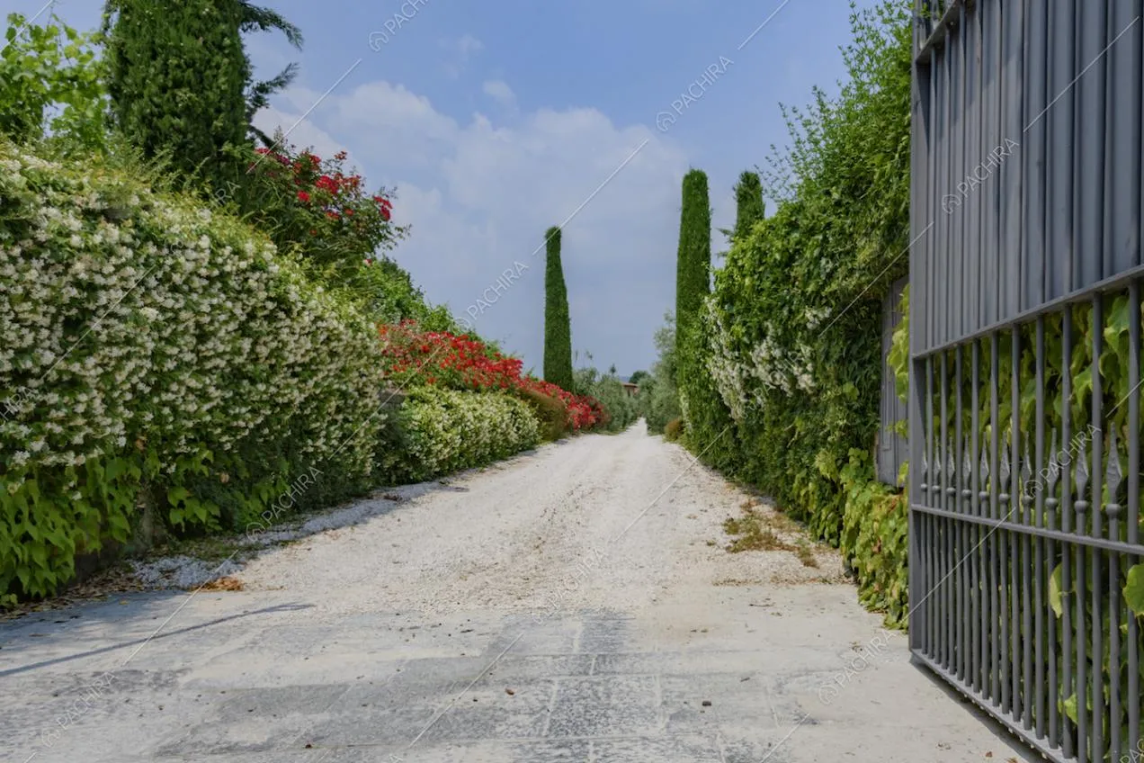Cancello d'entrata in ferro e viale d'accesso con fiori
