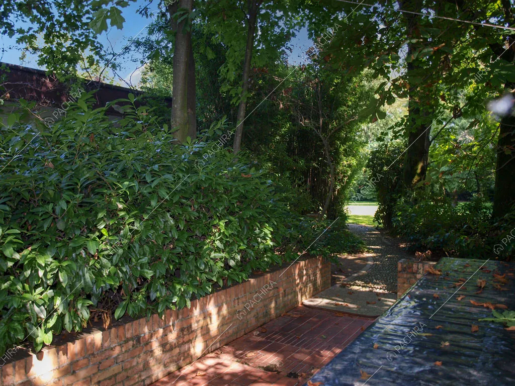 Vialetto con pavimentazione in mattonelle e siepi nel giardino della location