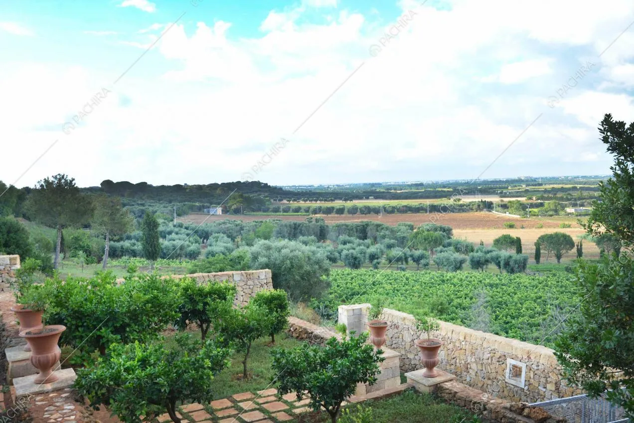 Vista sulle colline circostanti