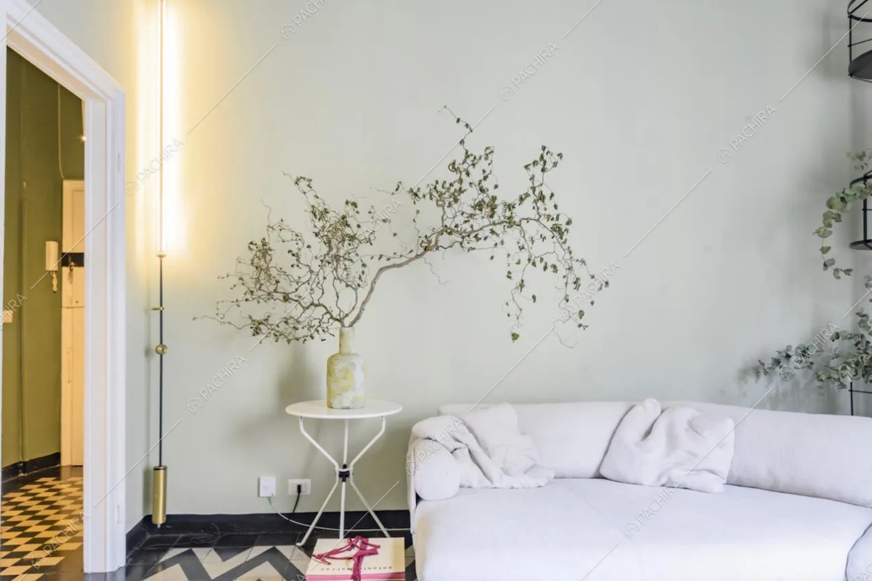 Tavolino bianco e vaso con arbusto decorativo