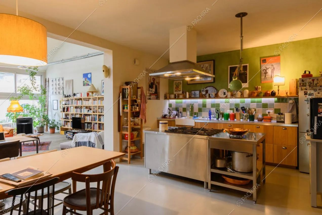 Fornelli a gas sull'isola in acciaio della cucina dalla parete verde