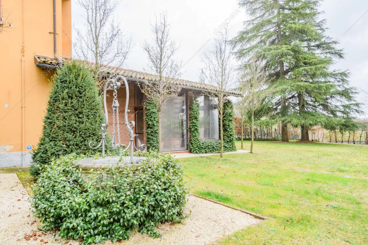 Pozzo con piante rampicanti nel giardino con portico