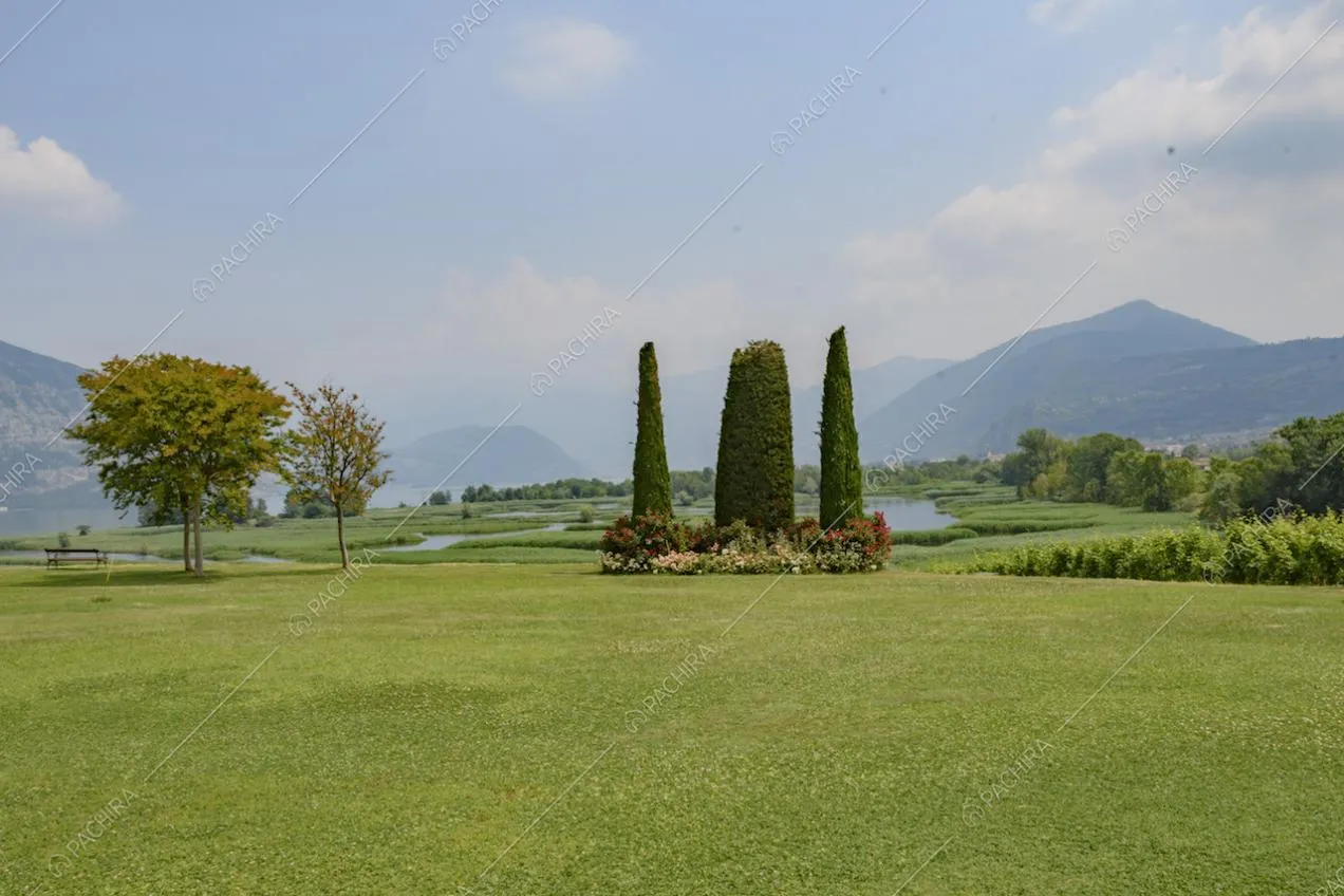 Alberi e fiori molto curati nel giardino della villa