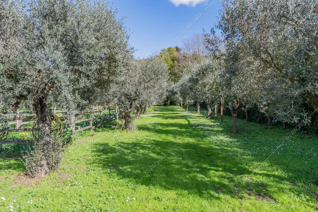 Parco della location Seine, loft in stile industriale a Roma