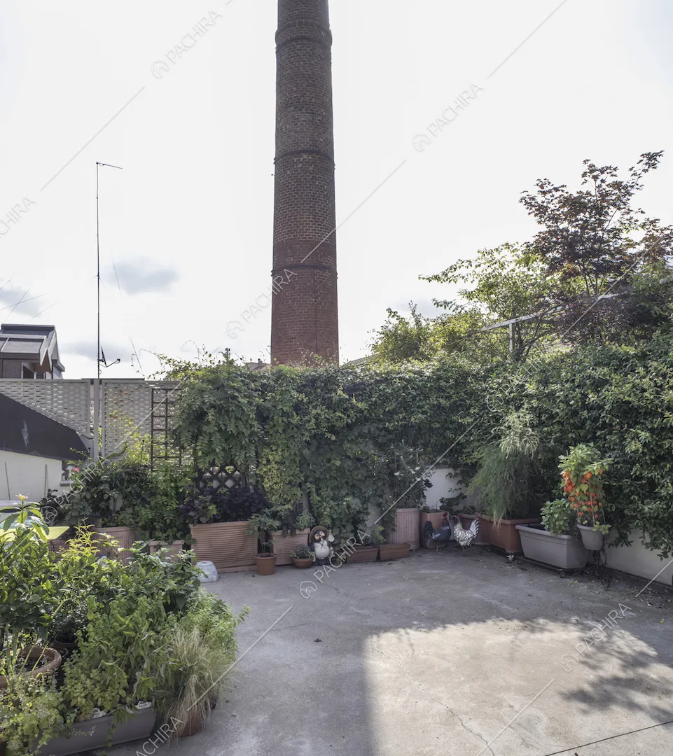 Terrazza con piante e rampicante